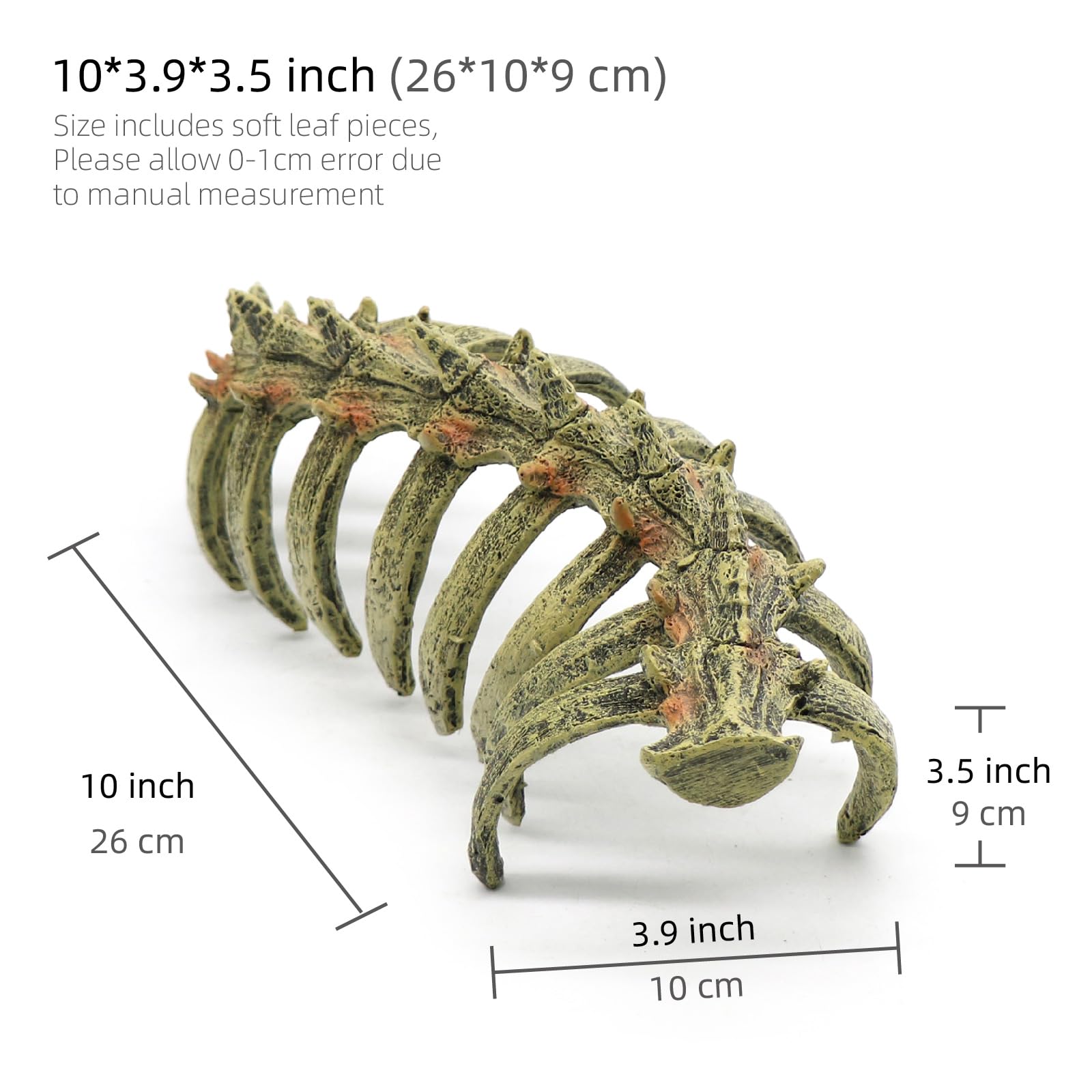 relaqcc skull trunk cave offers a naturalistic hideout.