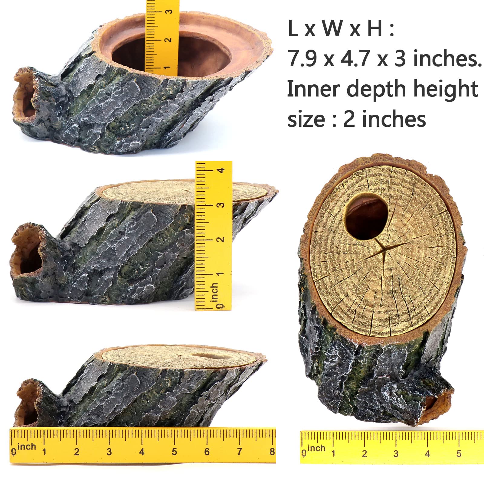 relaqcc Snake Hide Tree Roots Cave terrarium interior view shows quiet shelter.