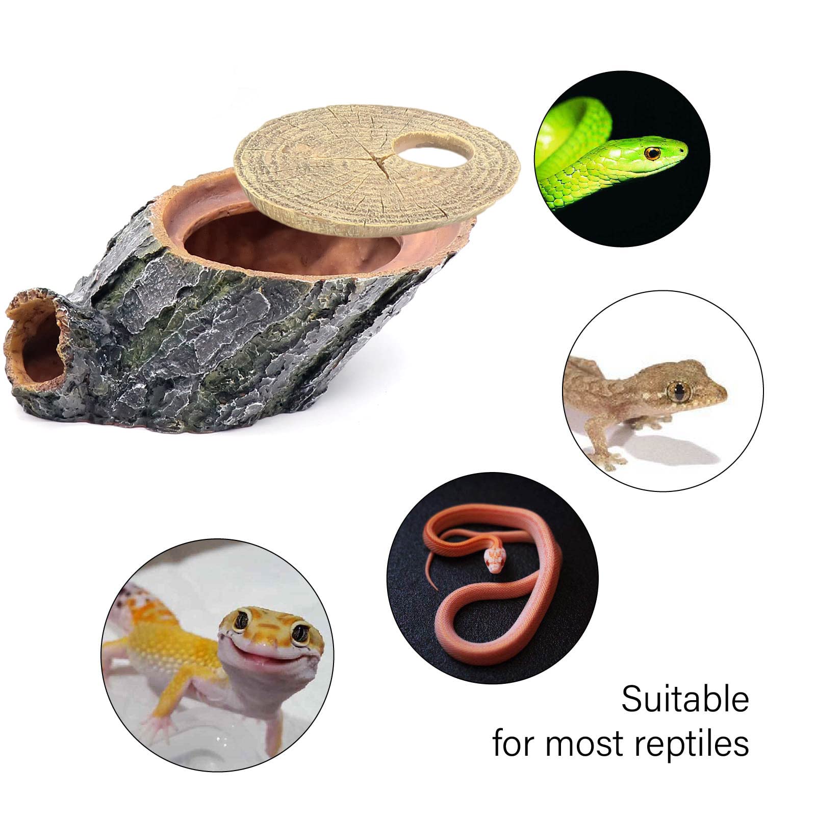 relaqcc Snake Hide Tree Roots Cave terrarium closeup texture emphasizes natural wood-like detail.