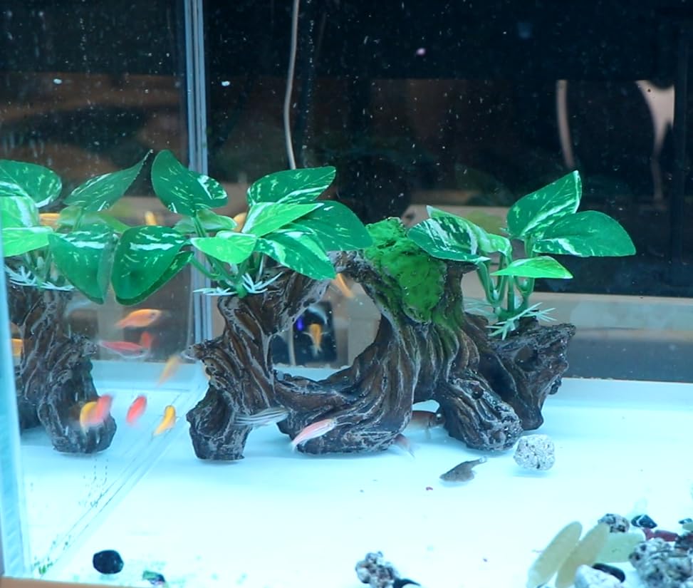 relaqcc terrarium decoration scene for creative habitat setup