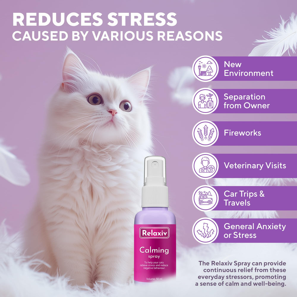 Relaxivet cat relaxing on bed shows soothing spot spray for calmer resting.