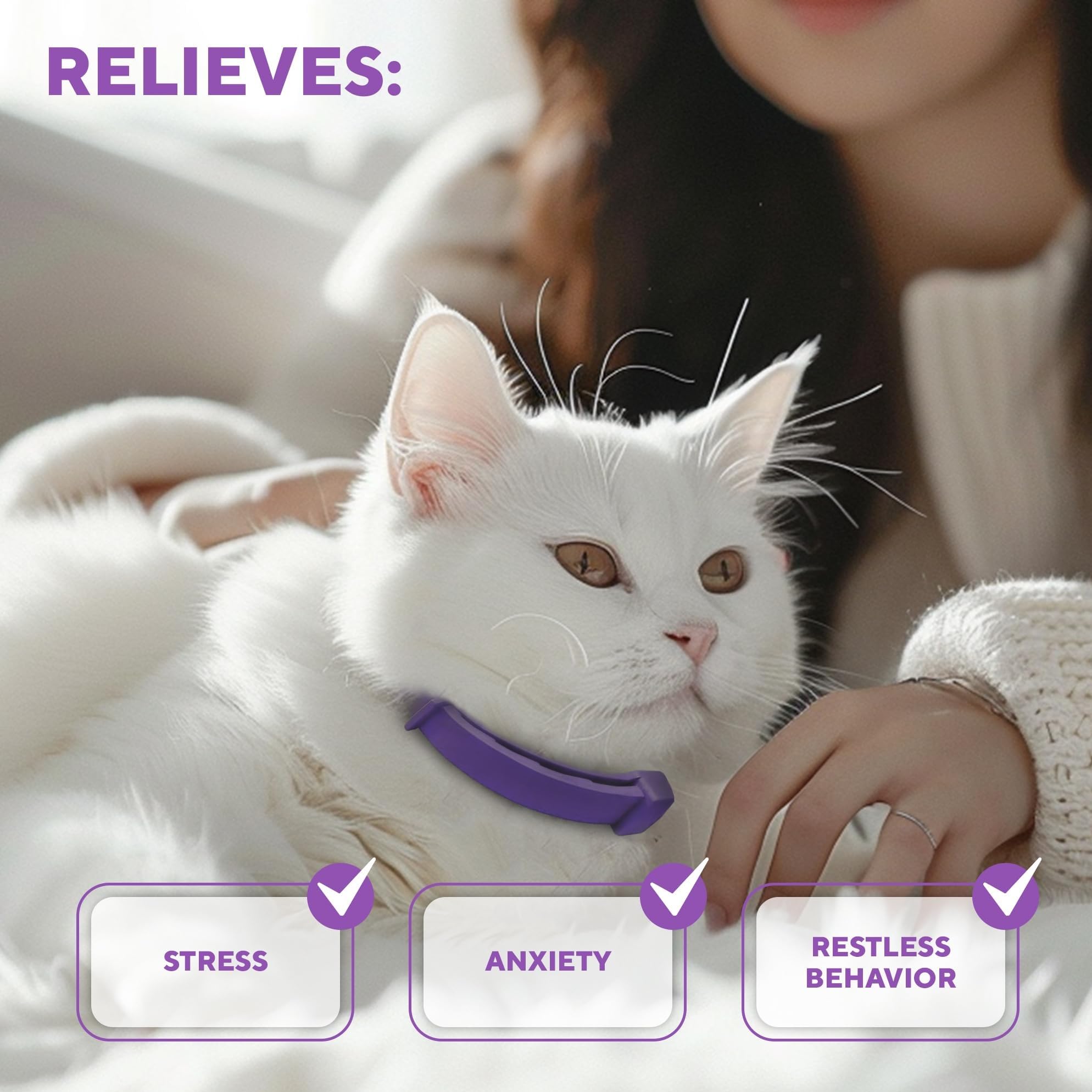 Relaxivet collar worn indoors and outdoors provides 24/7 calming for cats.
