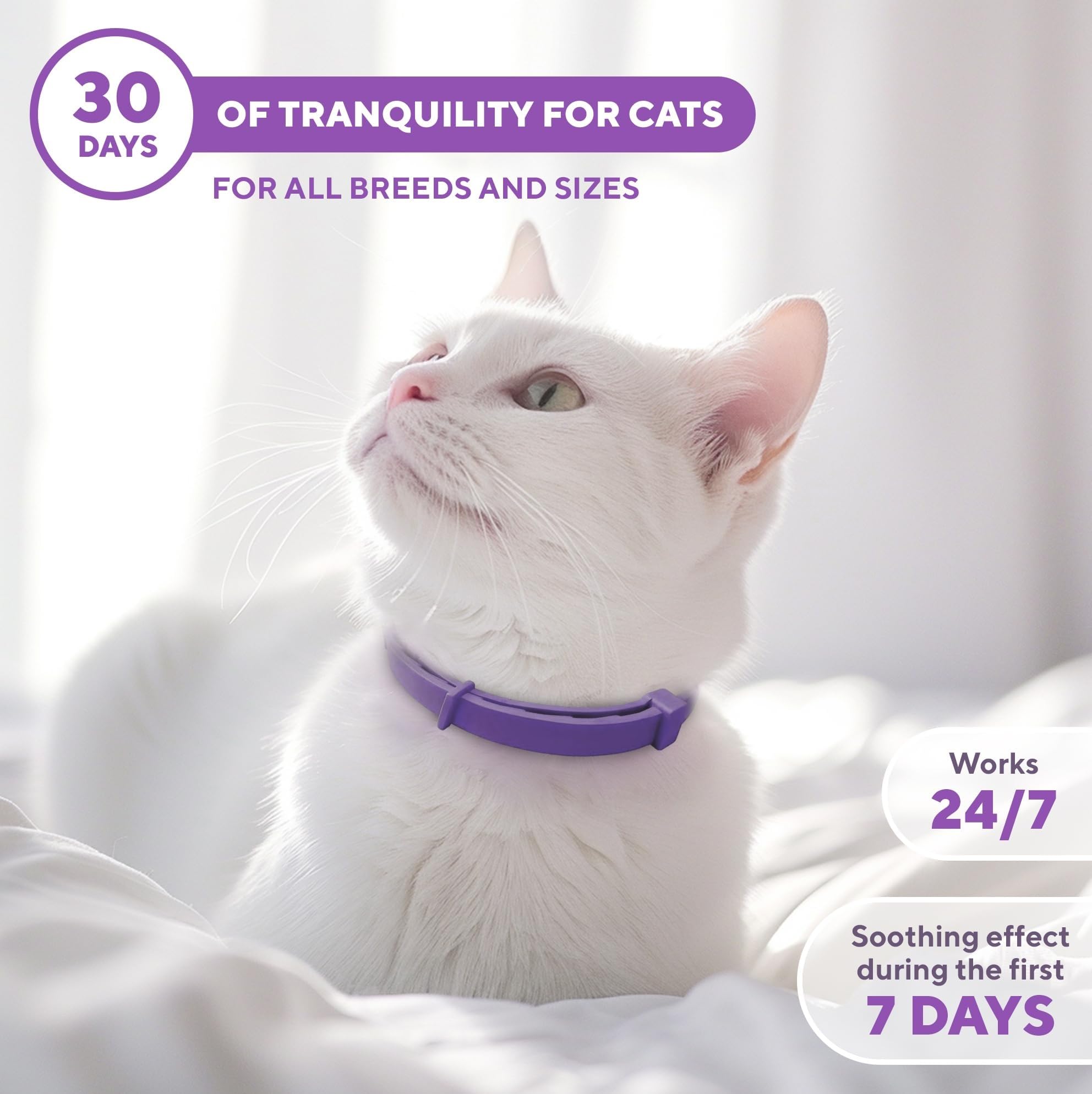 Relaxivet collar first effects observed within seven days for many cats.