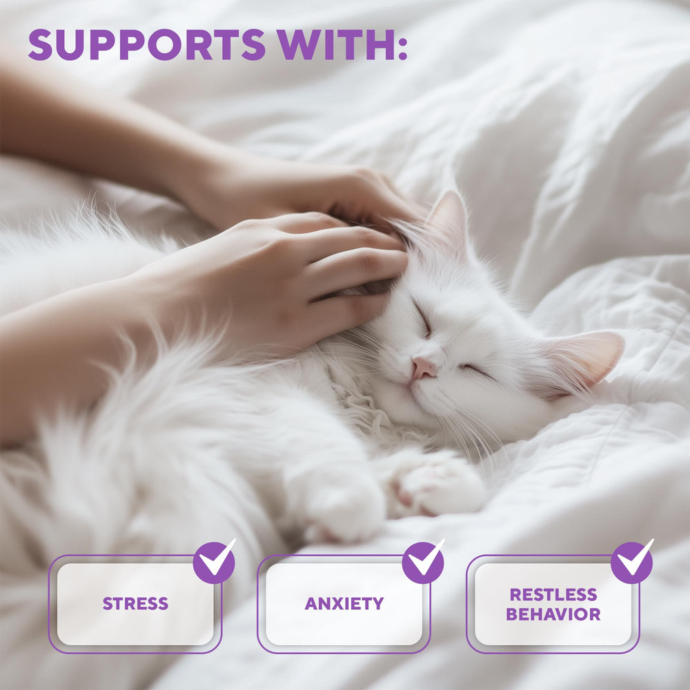 Relaxivet furniture-safety spray protects furniture from scratching by stressed cats.