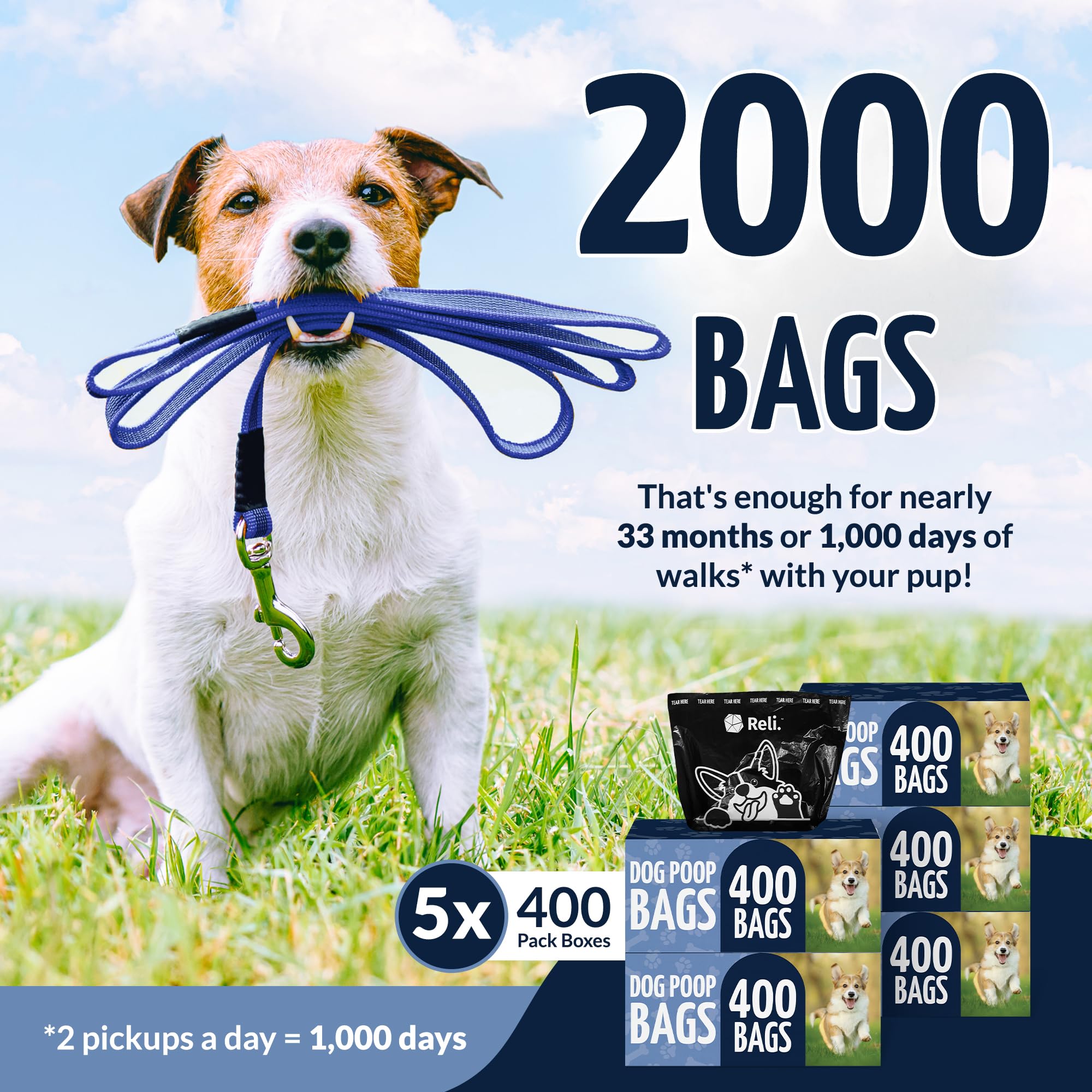 Reli dog poop bags large rolls 9x13 inch for easy park cleanup