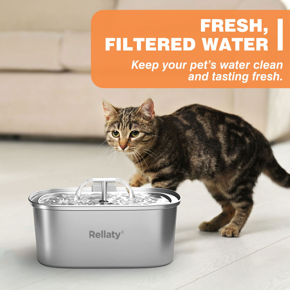 Rellaty cat drinking from fountain illustrates inviting hydration at home.