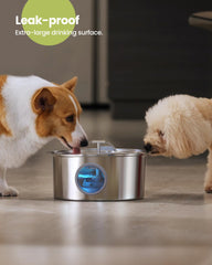 Rellaty water fountain easy-grip handle for effortless transport