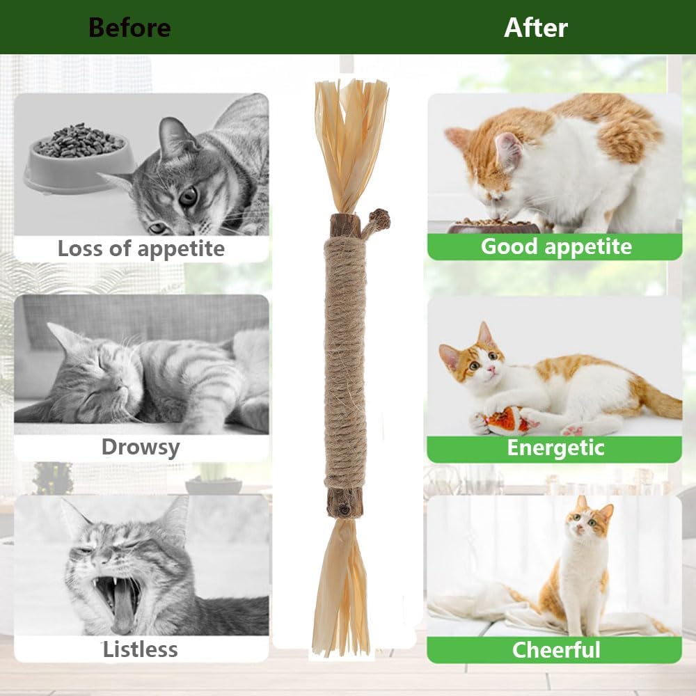 RELONGGI silvervine sticks durable chew toy for aggressive chewers during sessions