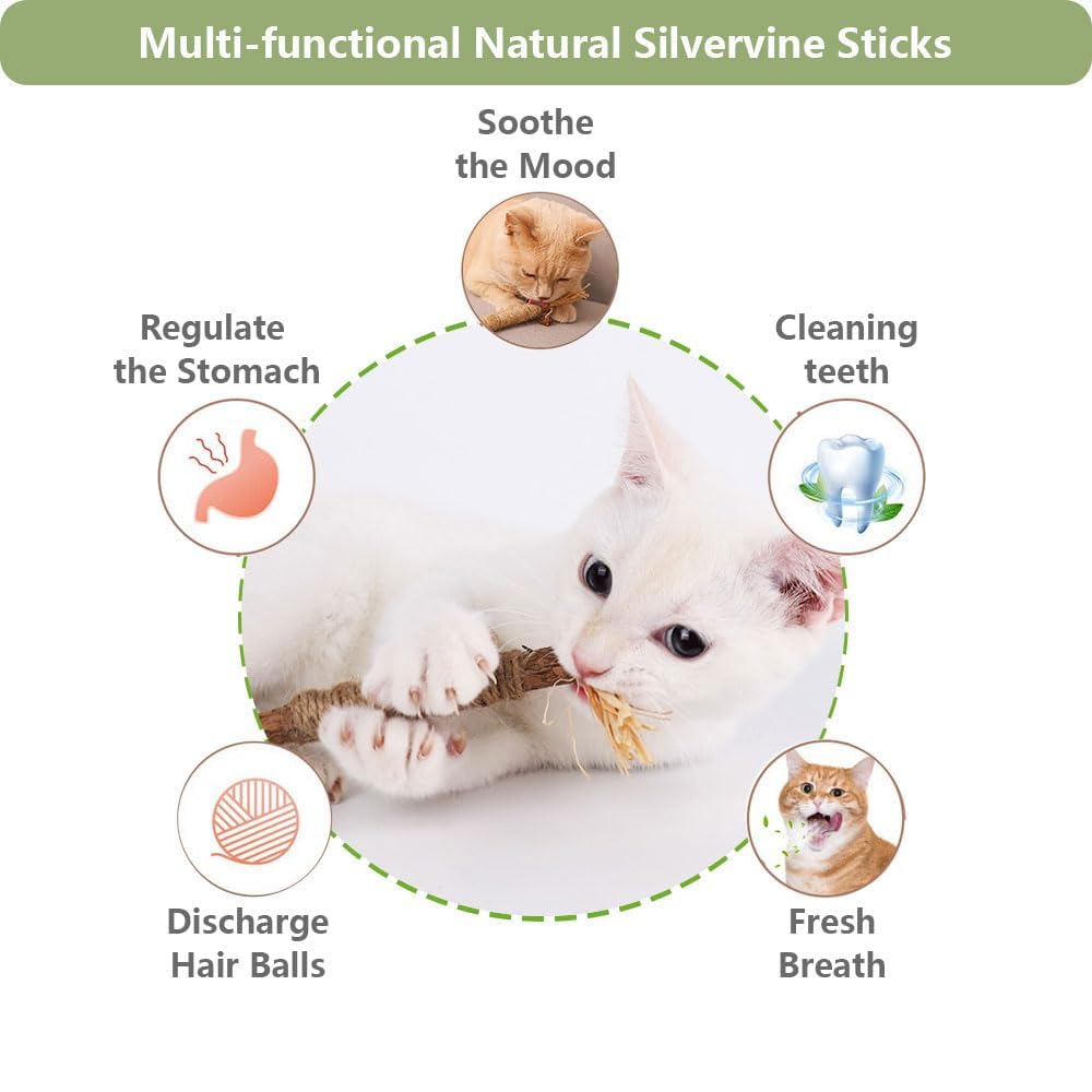RELONGGI silvervine sticks textured-chew in play session to promote engagement