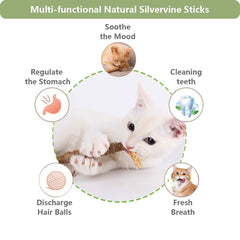 RELONGGI silvervine sticks textured-chew in play session to promote engagement