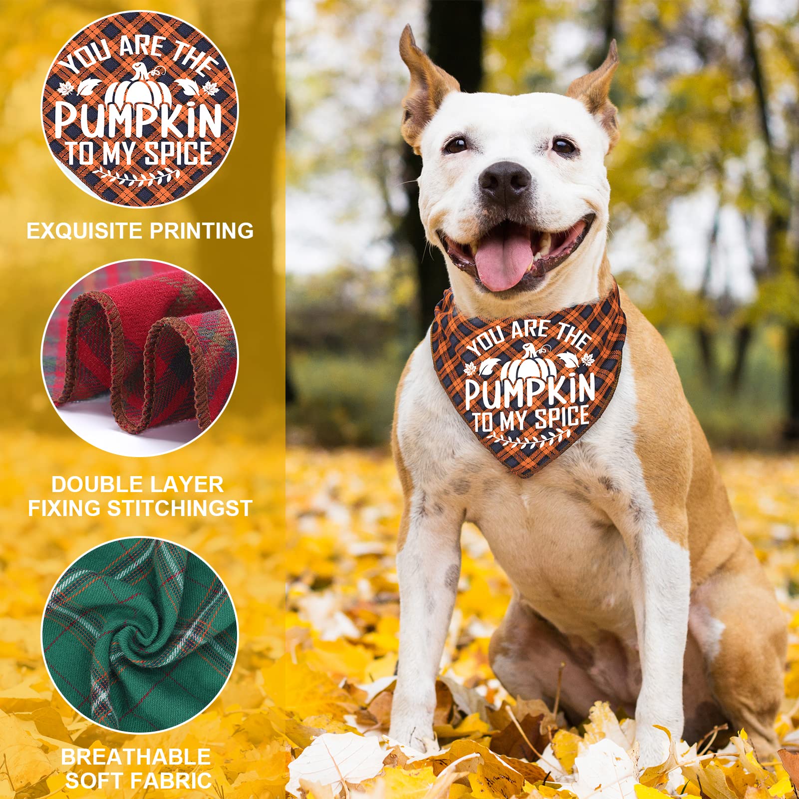 Remifa 4-pack dog bandanas box highlights value and versatility