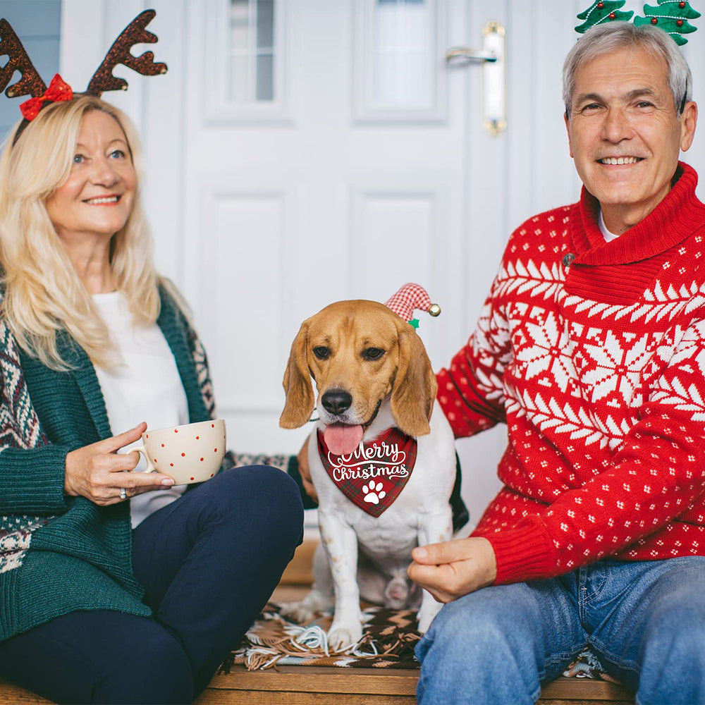 Remifa 4-pack dog Christmas bandana gift-ready packaging appeal