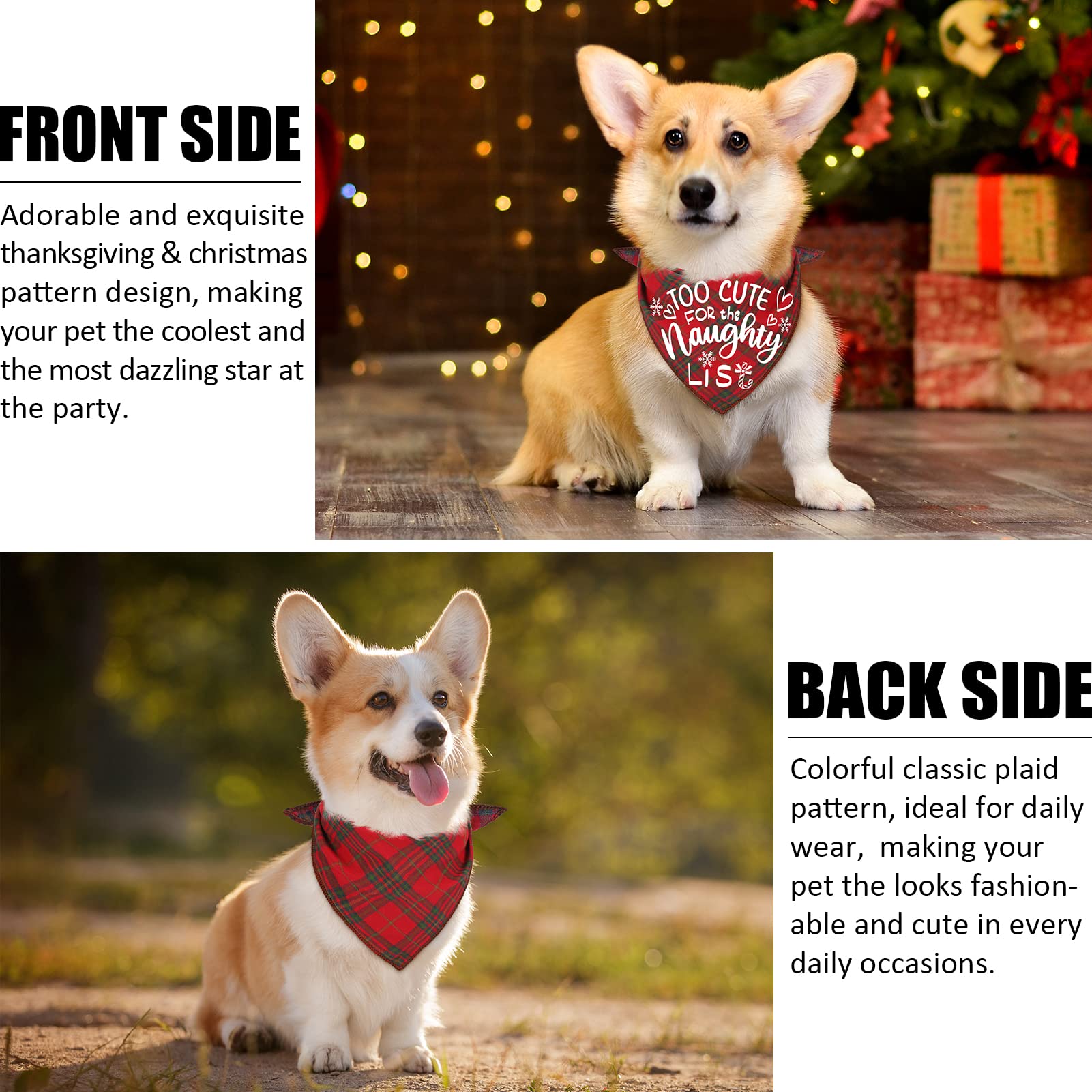 Remifa dog bandana worn diagonally demonstrates easy outdoor styling