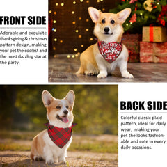 Remifa dog bandana worn diagonally demonstrates easy outdoor styling