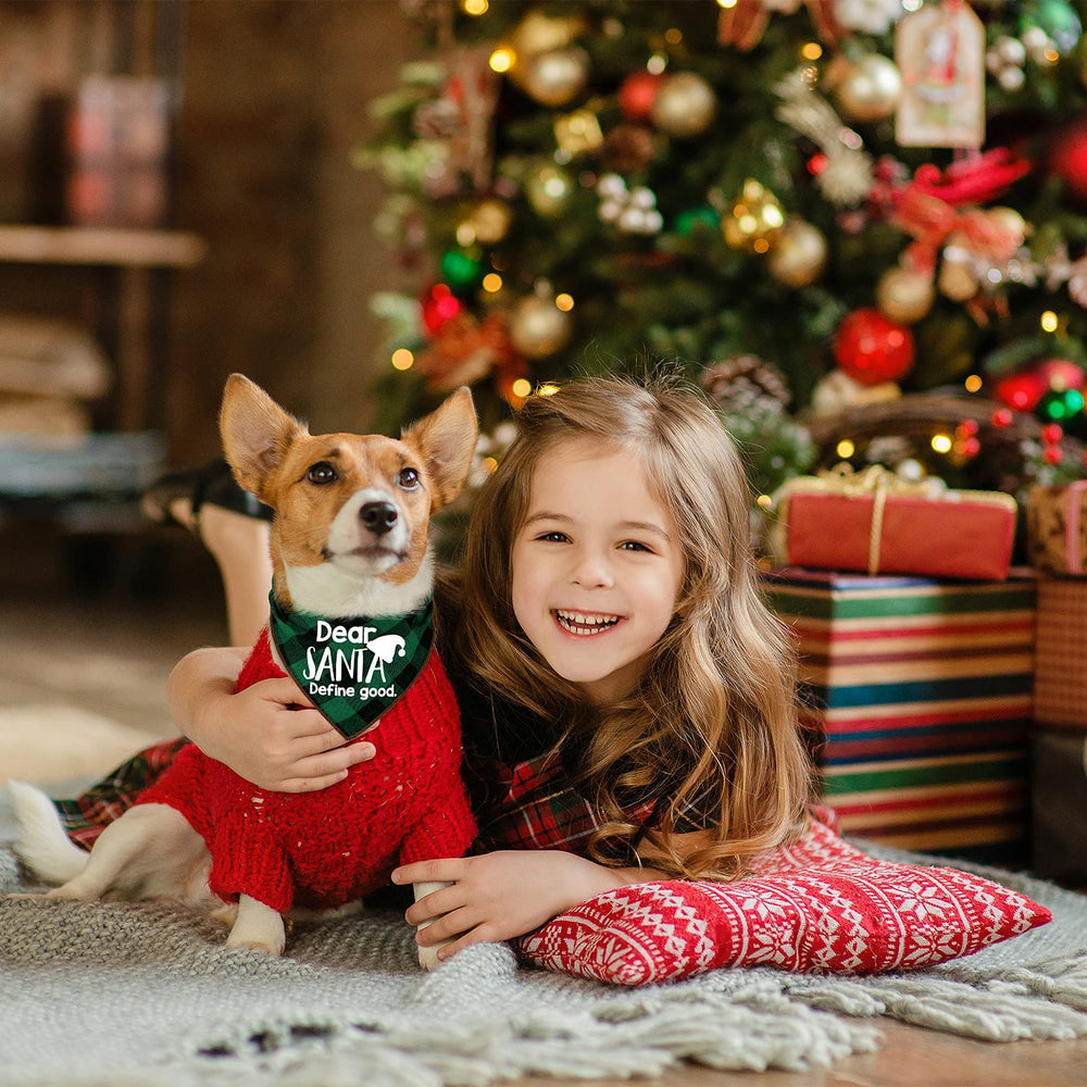 Remifa dog wearing bandana on walk captures festive outdoor moment