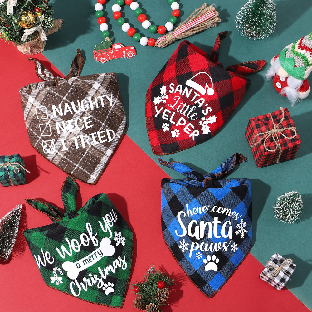 Remifa gift-ready packaging for holiday pet gift set