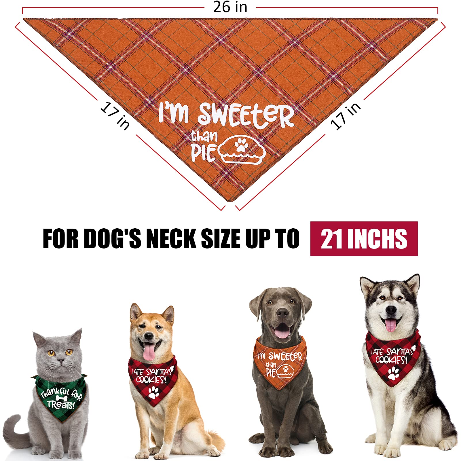 Remifa Halloween dog bandana, front view, playful autumn style