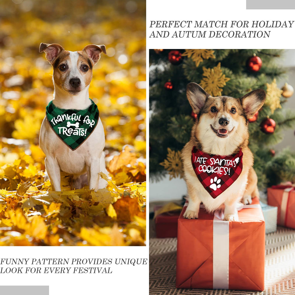 Remifa multi-pattern pack, six looks total for festive or everyday wear