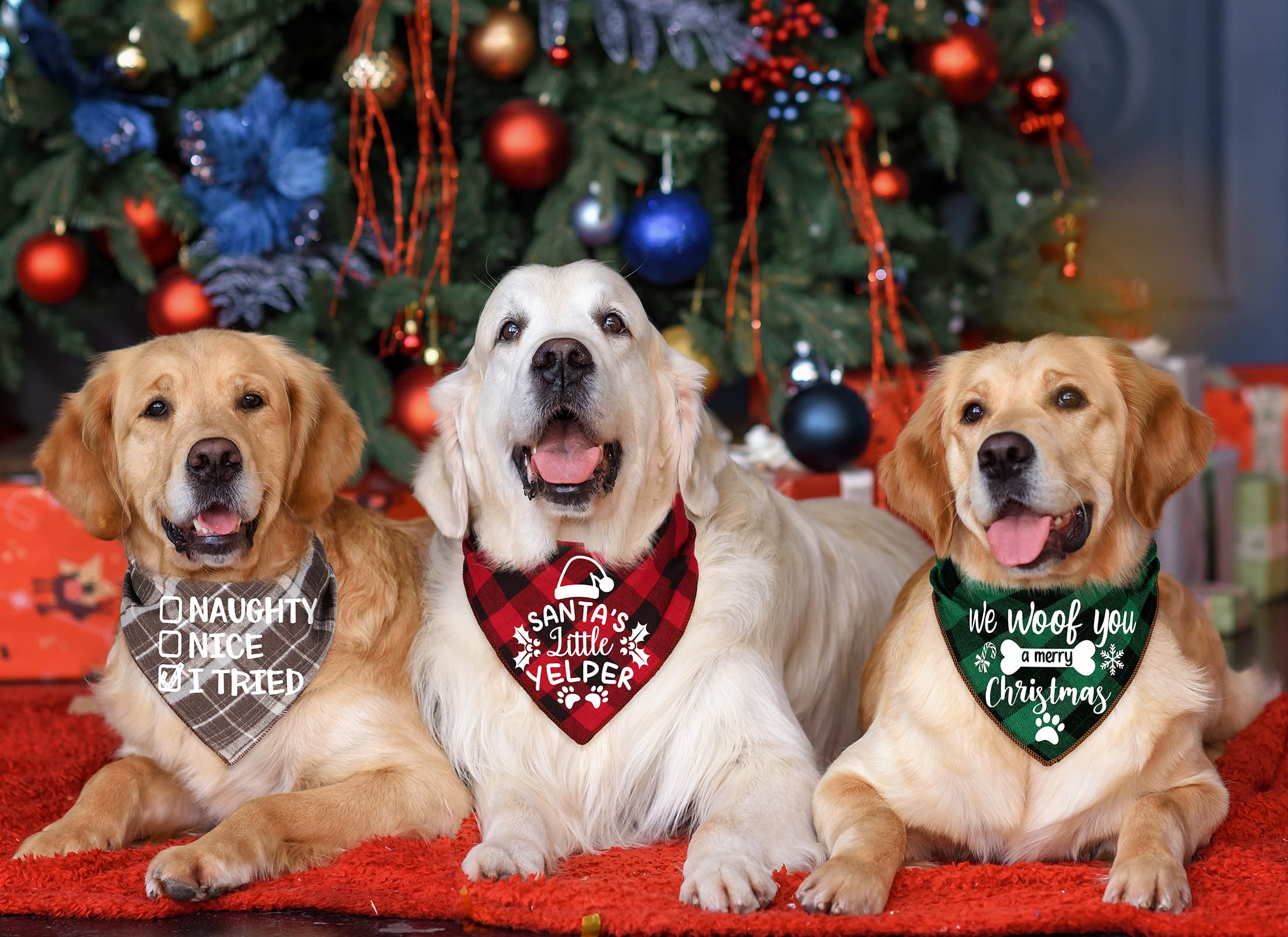 Remifa holiday print designs including Here Comes Santa Paws