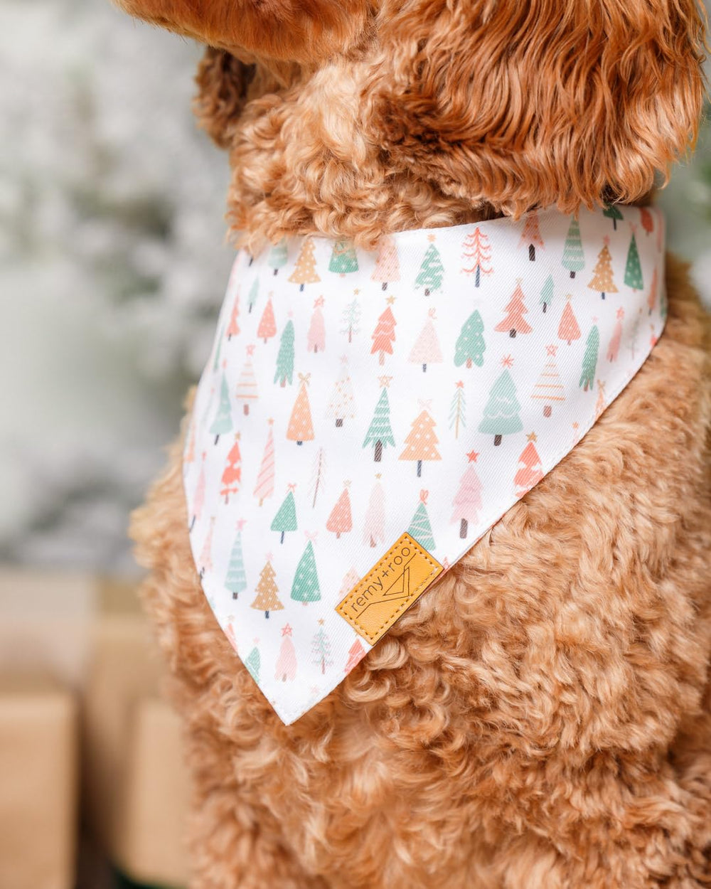 Remy+Roo two-pack pattern pairing for versatile holiday looks.