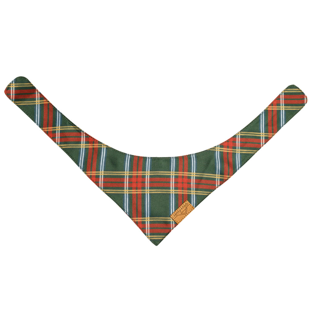 Remy+Roo birthday or special occasion bandana for stylish photos