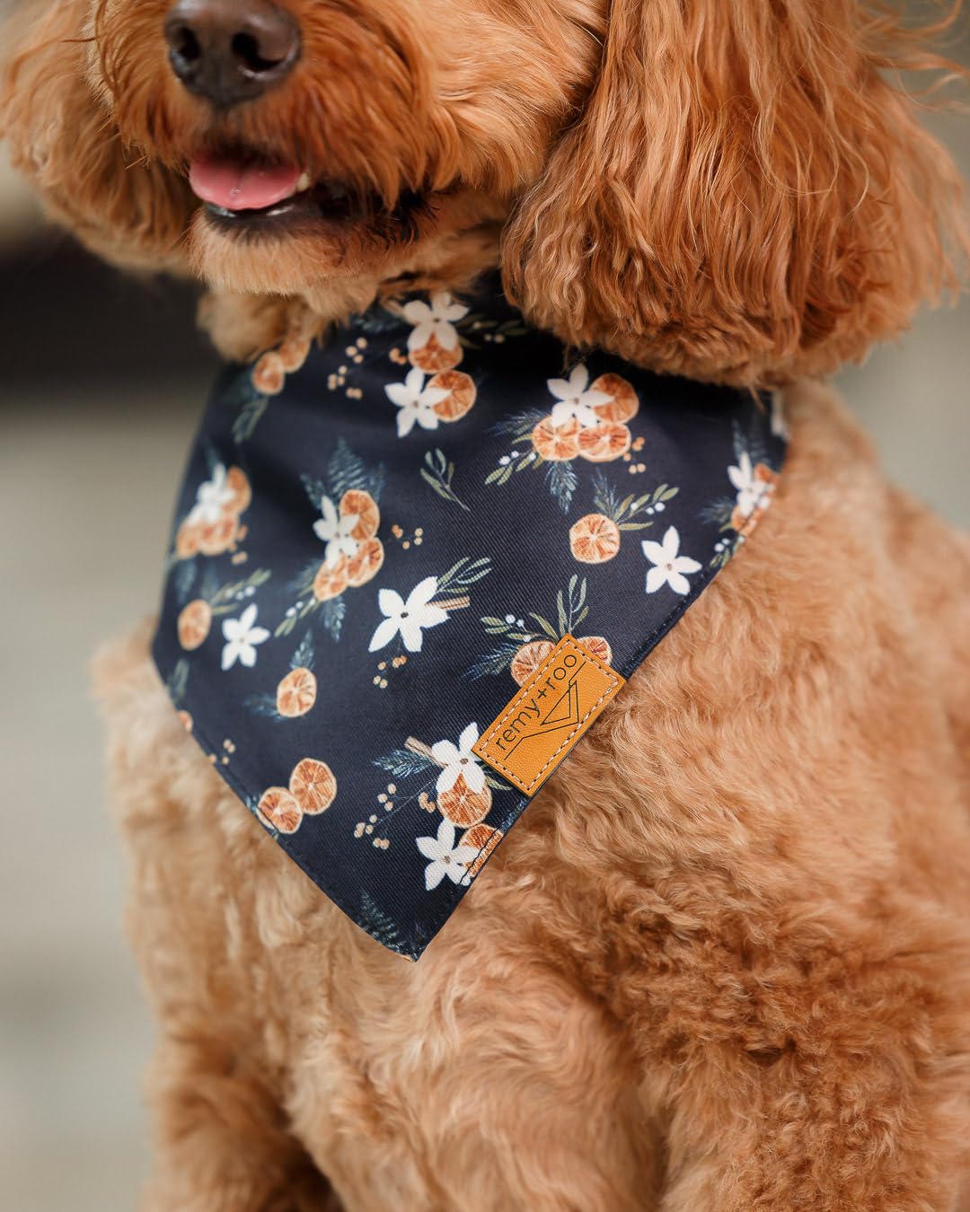 Remy+Roo care and washing instructions for durable bandanas