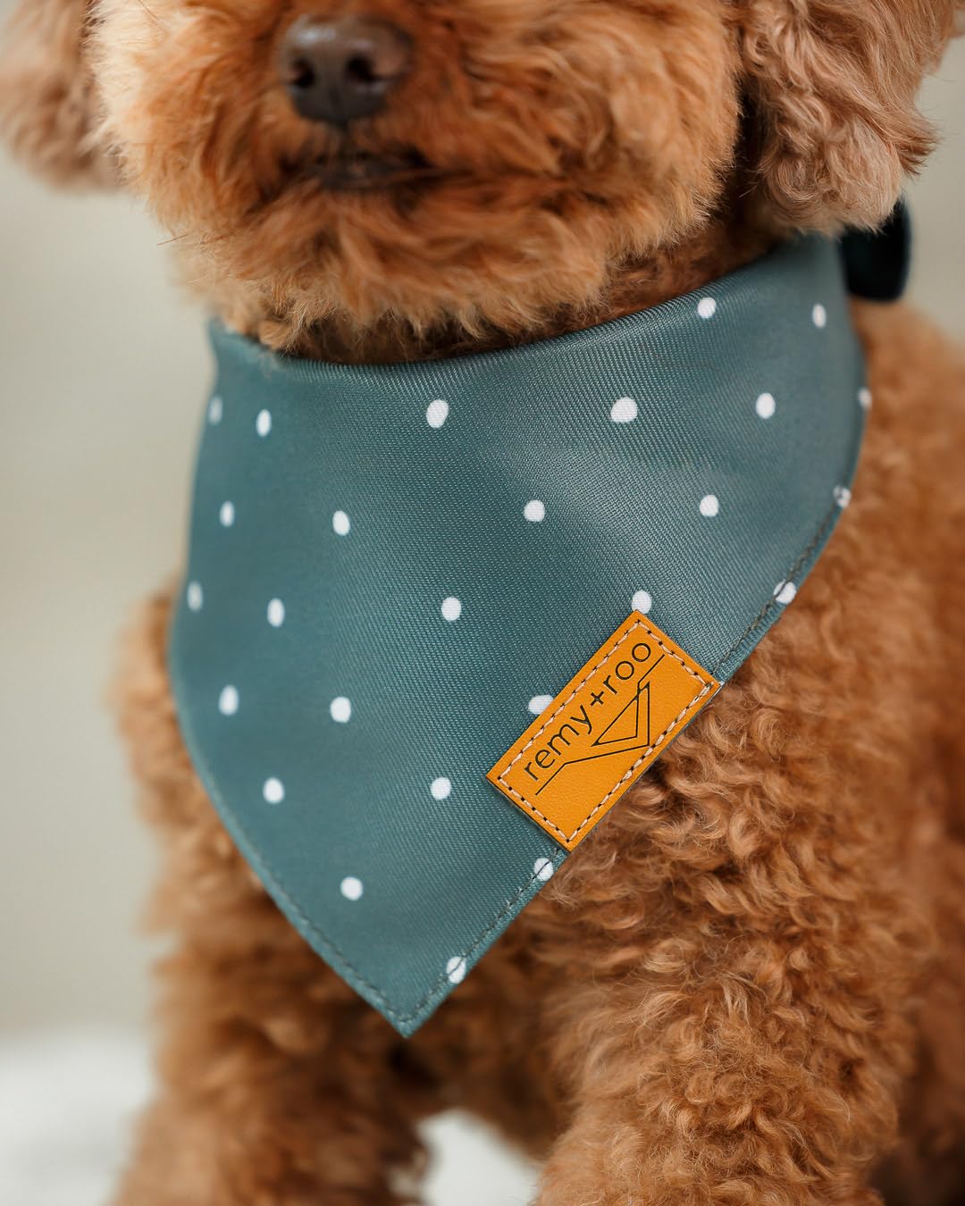 Remy+Roo cooling fabric dog bandana keeps pets comfortable in heat
