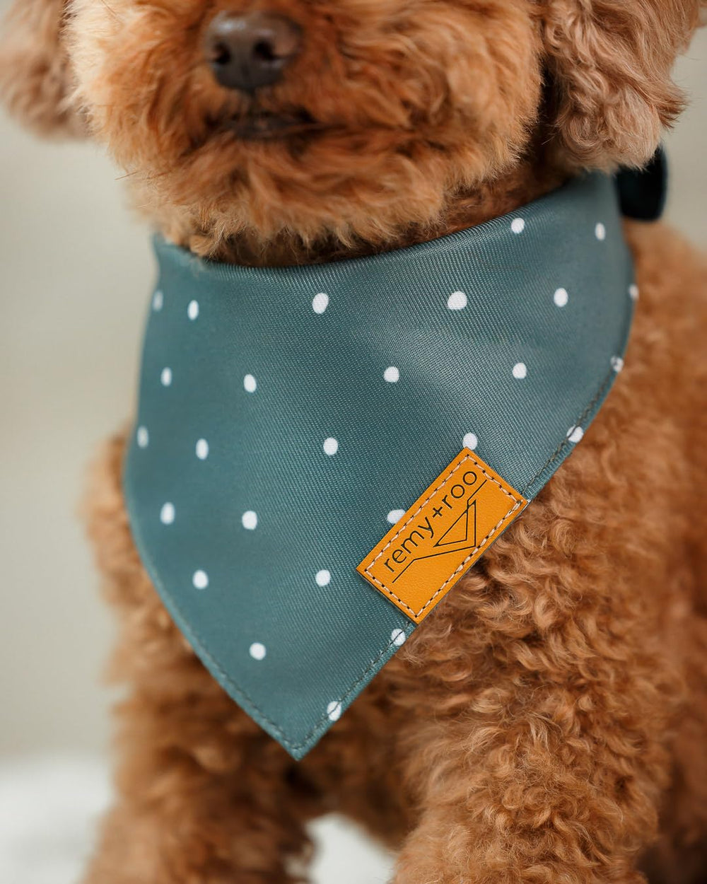 Remy+Roo cooling fabric dog bandana keeps pets comfortable in heat