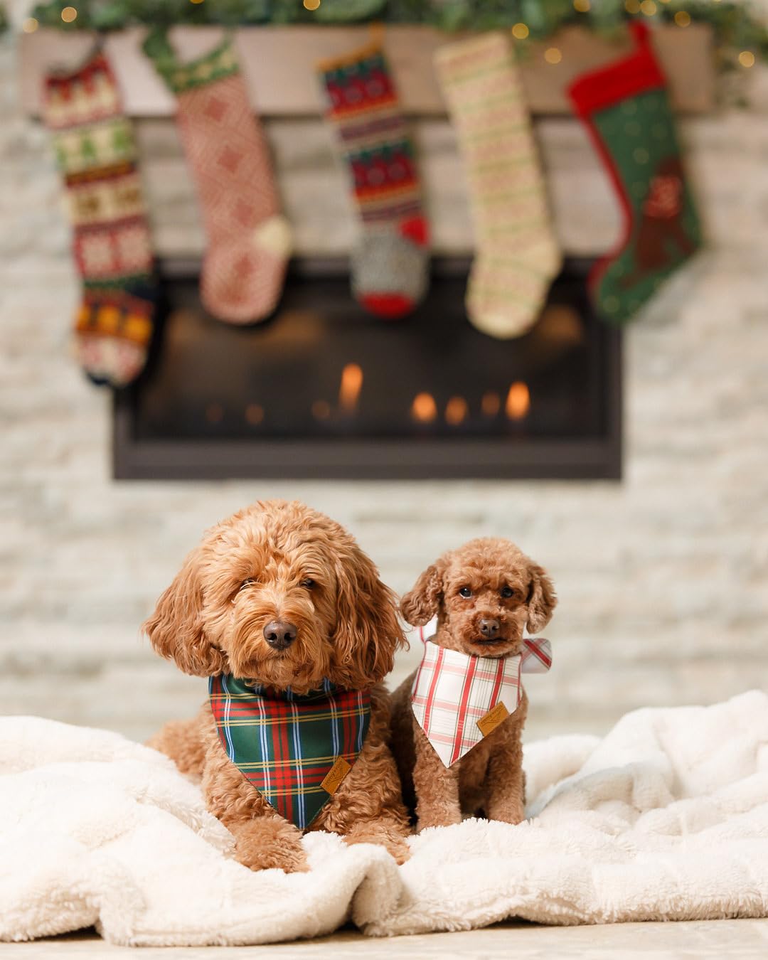 Remy+Roo evergreen Christmas bandana design for seasonal flair