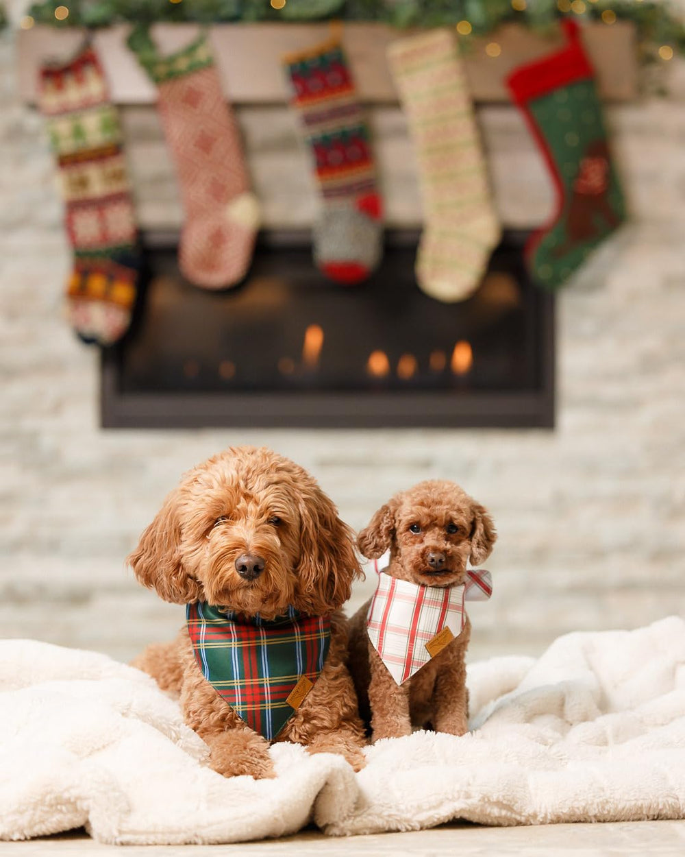 Remy+Roo evergreen Christmas bandana design for seasonal flair