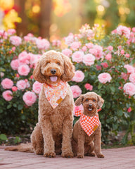 Remy+Roo floral bandana close-up showing four patterns for stylish park outings