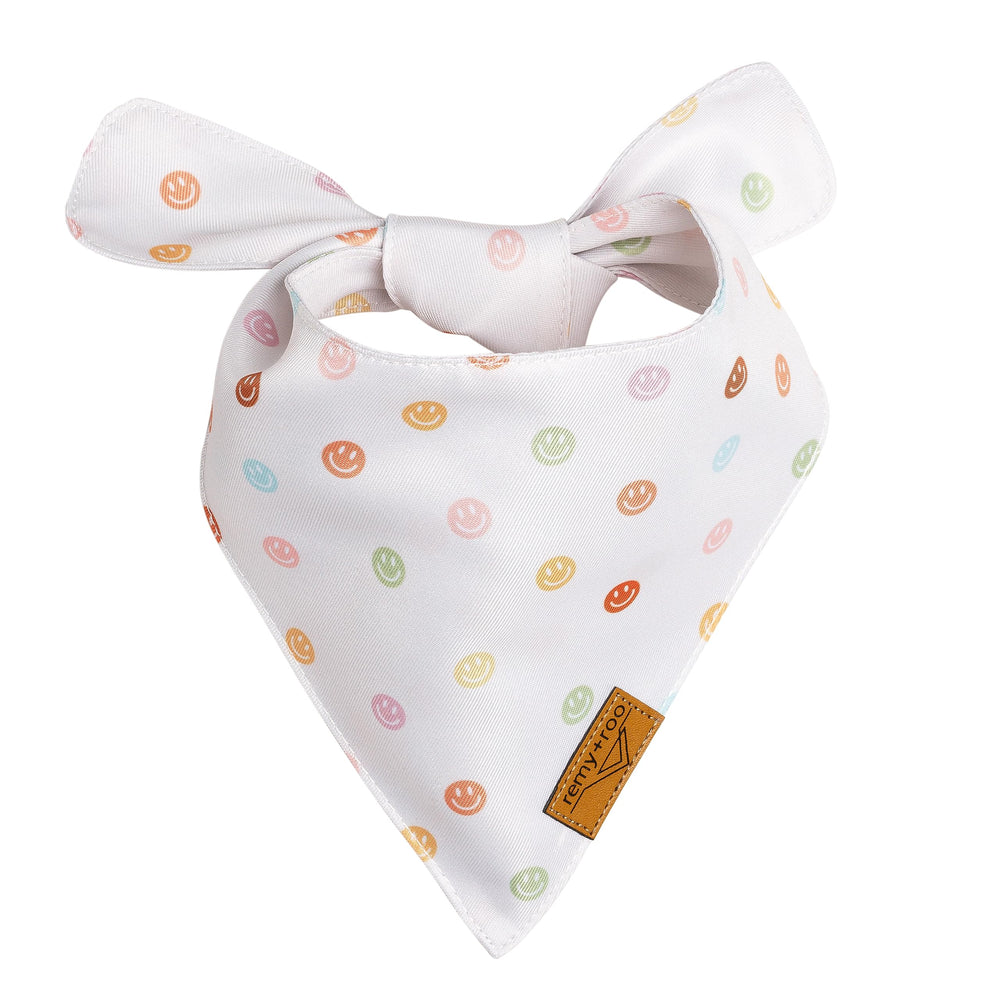 Remy+Roo spring daisy bandana on dog ready for birthday photos