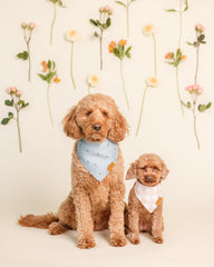 Remyroo large spring dog bandanas Emily Set pattern 2 sun-ready floral for summer outings