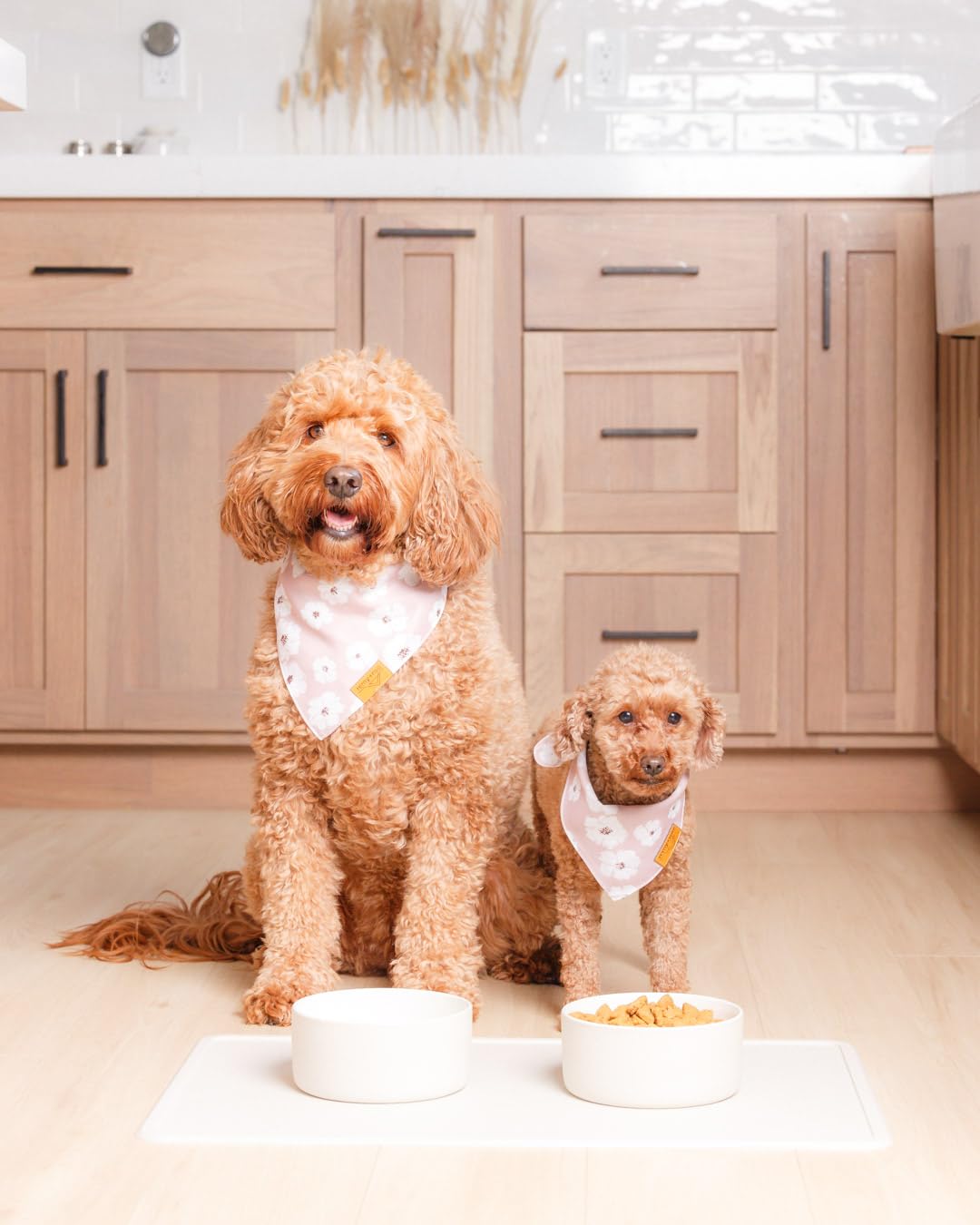 Remy+Roo stone silicone dog water mat with spill containment