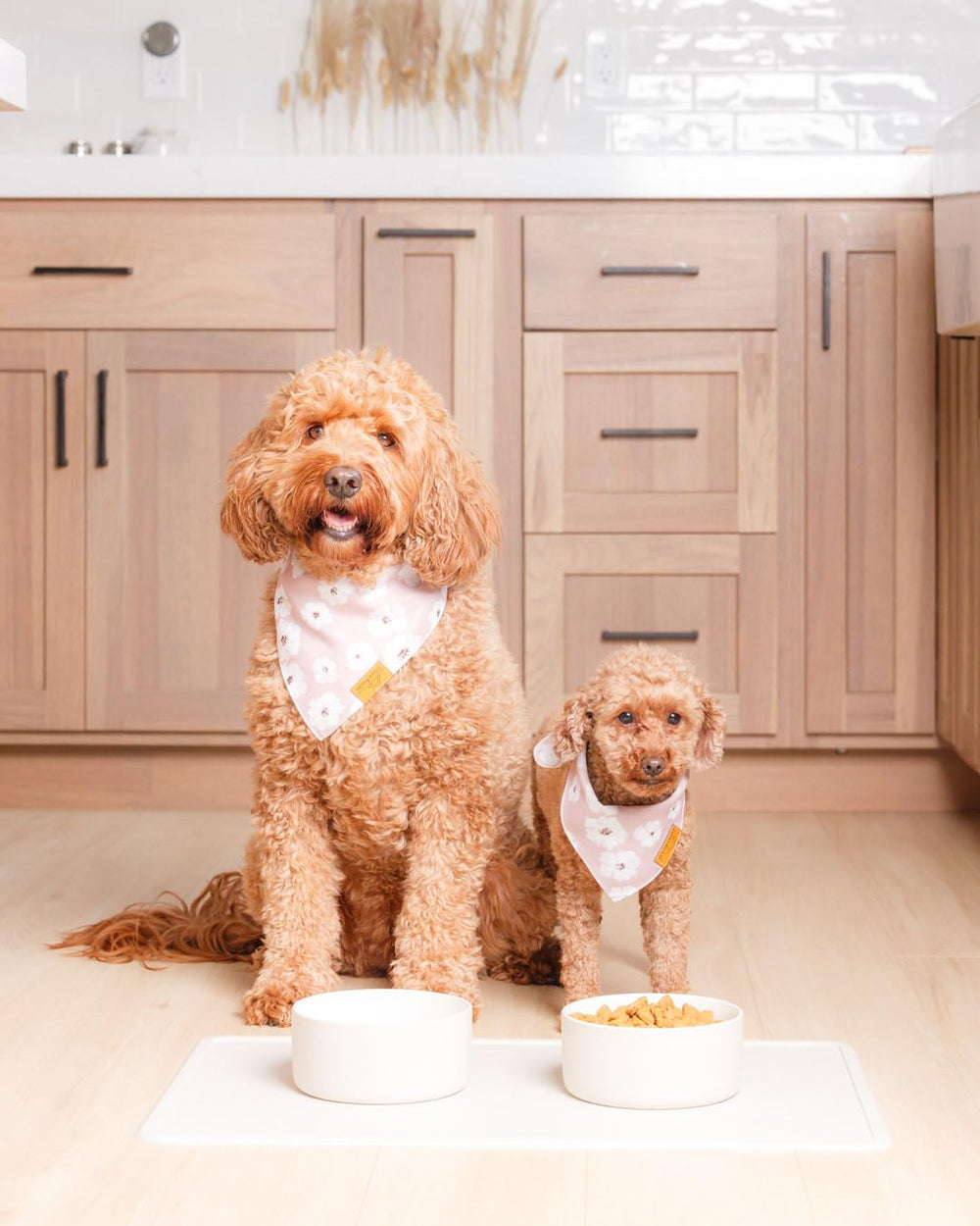 Remy+Roo stone silicone dog water mat with spill containment