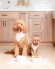 Remy+Roo stone silicone dog water mat with spill containment