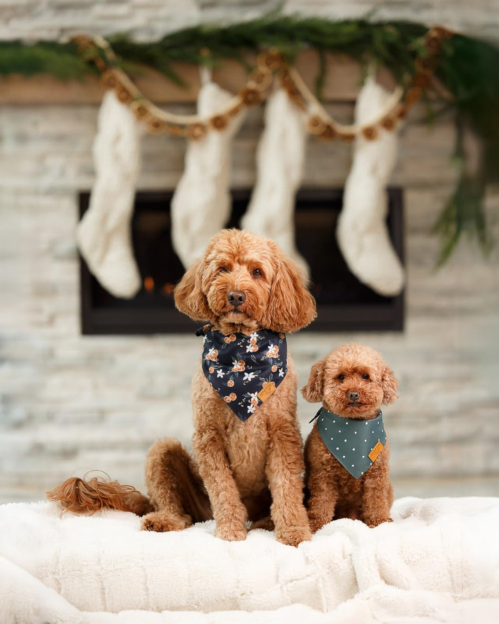 Remy+Roo trendy holiday designs pair to boost park style