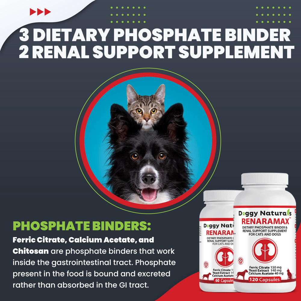 RENARAMAX kidney-friendly diet integration concept image.