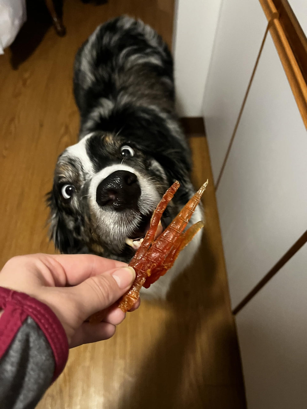 Rena's Recipe chicken fillet slices dog-friendly meal prep for active days