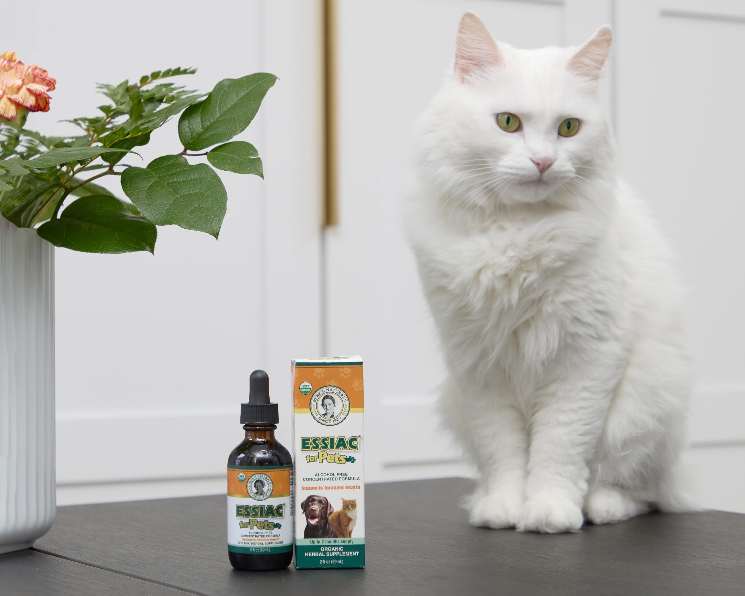 Rene's Naturals Essiac antioxidants in action image suggesting healthy aging