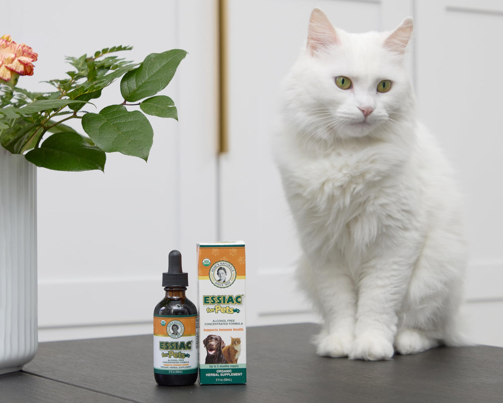 Rene's Naturals Essiac antioxidants in action image suggesting healthy aging