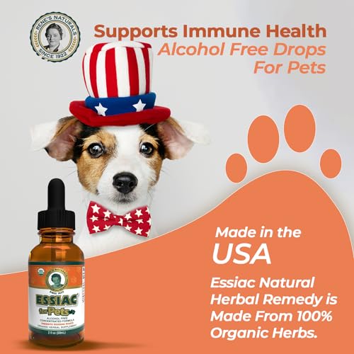Rene's Naturals Essiac burdock root detail for traditional herb power
