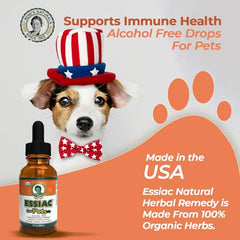 Rene's Naturals Essiac burdock root detail for traditional herb power