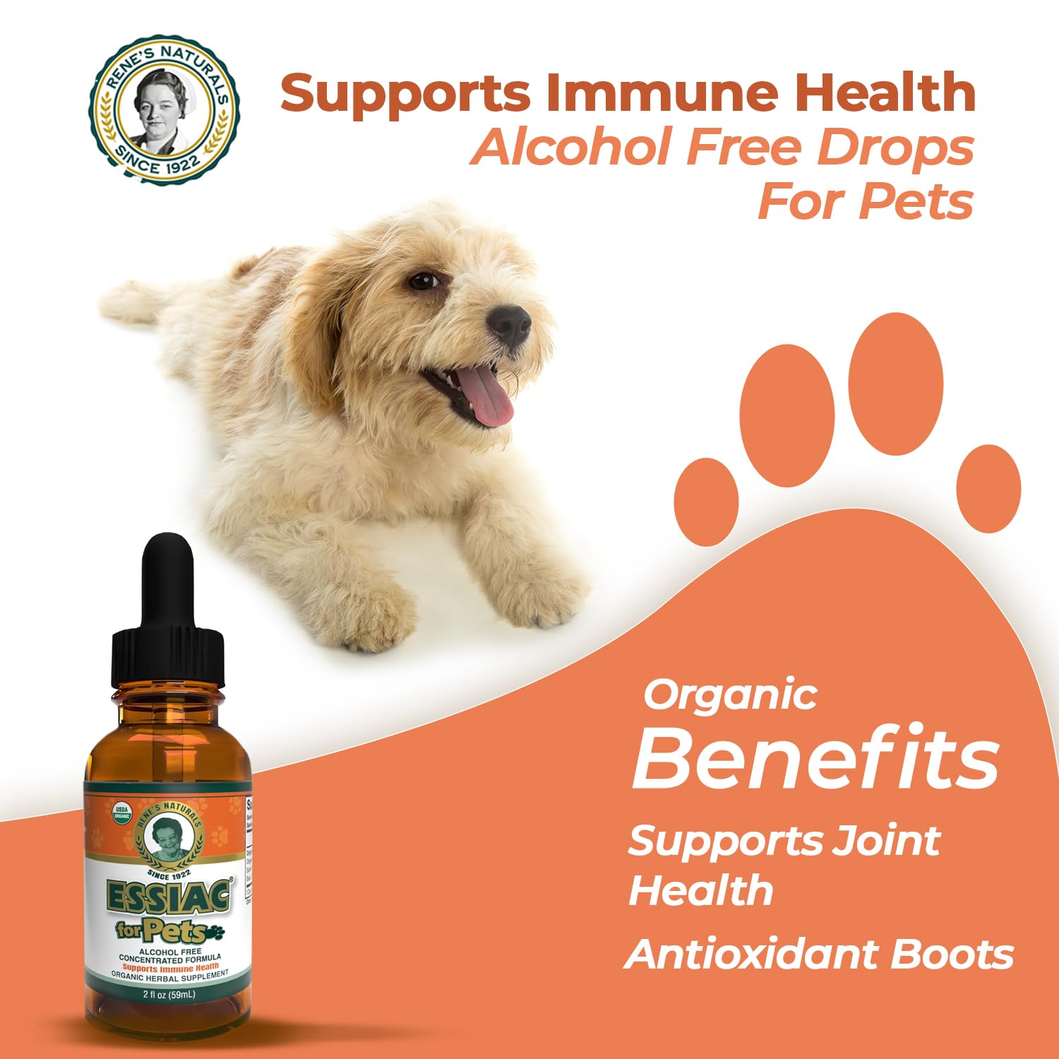 Rene's Naturals Essiac detox and lymphatic support concept in practice