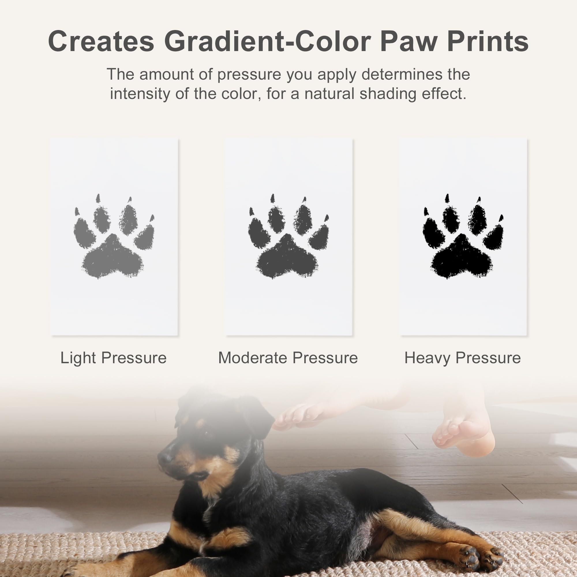 RENEWREVITAL gift-for-pet-lovers showcases a complete keepsake kit for memories.