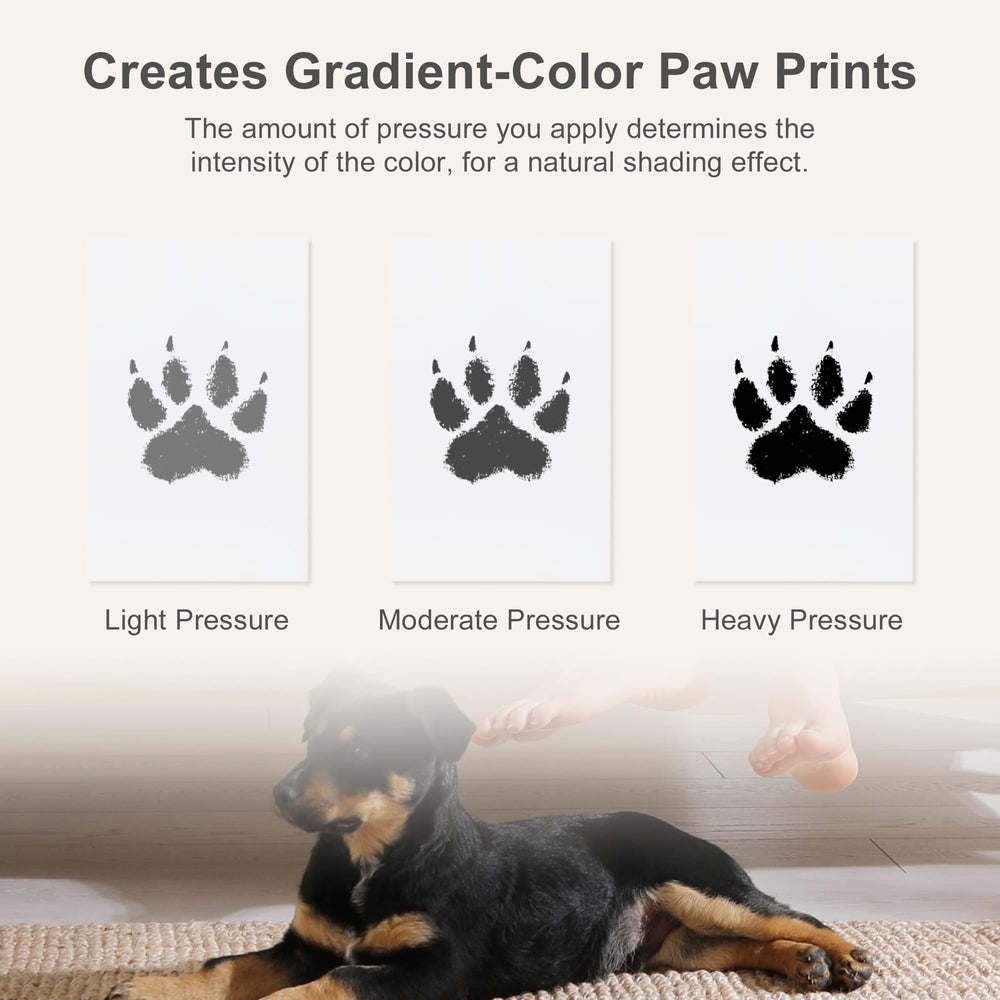 RENEWREVITAL gift-for-pet-lovers showcases a complete keepsake kit for memories.