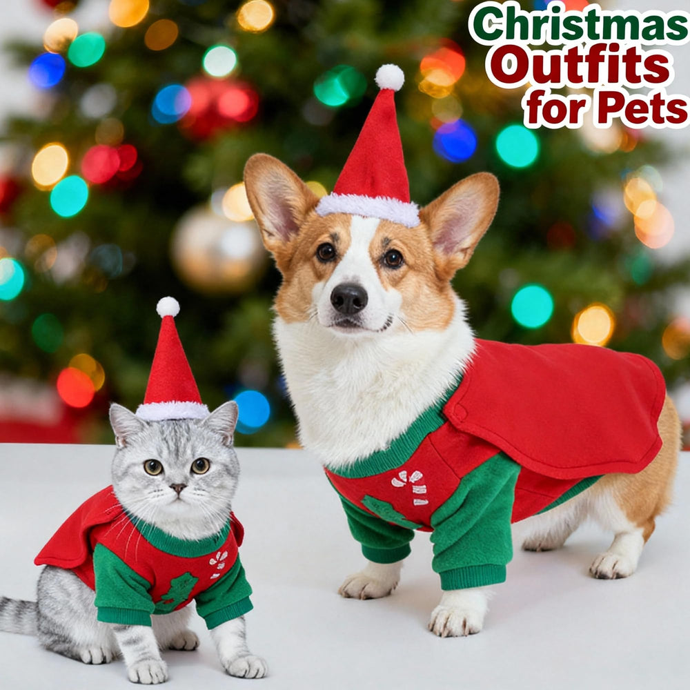 RENEWREVITAL size-inclusive design supports a range of breeds and comfortable fit.