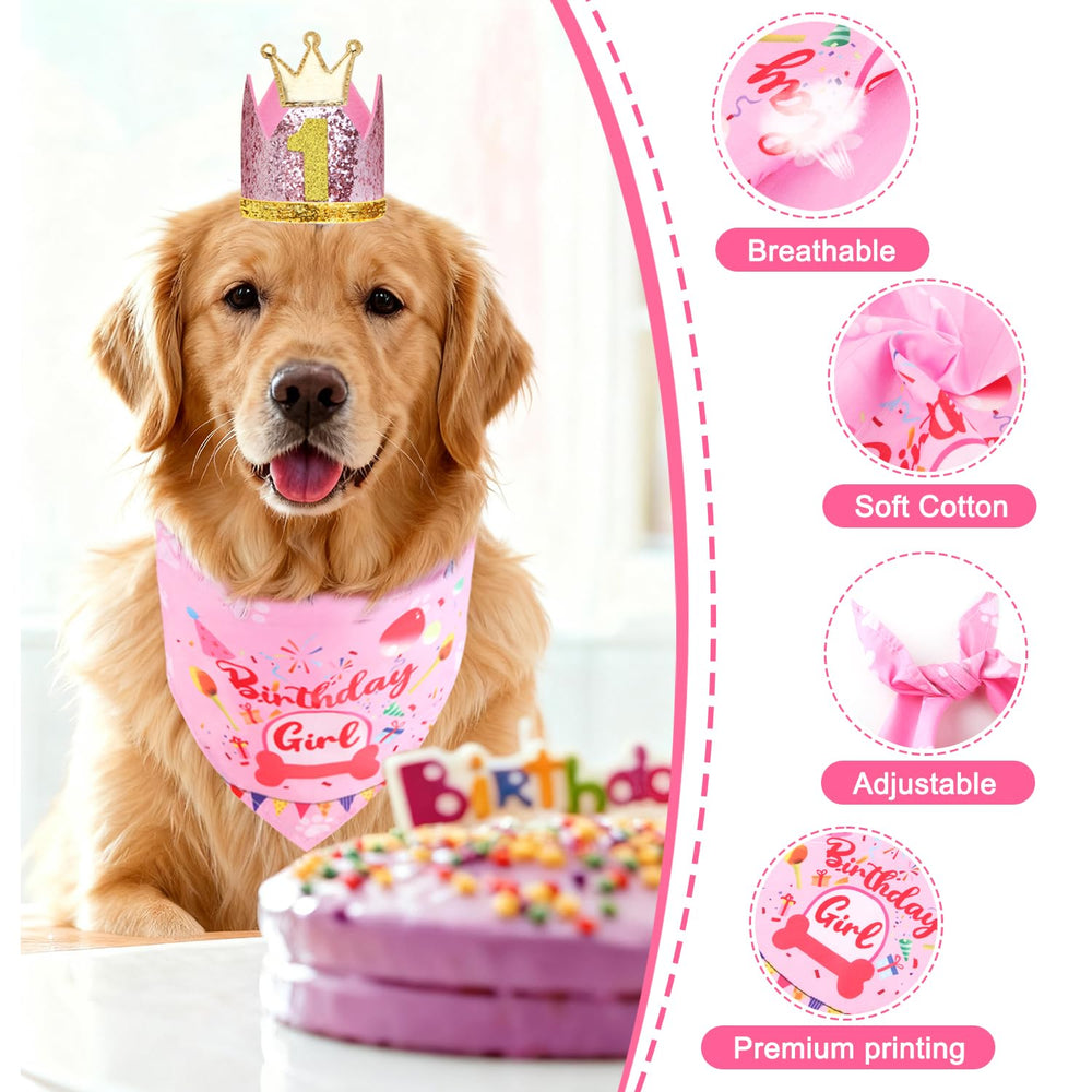 Rensh birthday numbers pack highlights customizable age for cute photos.