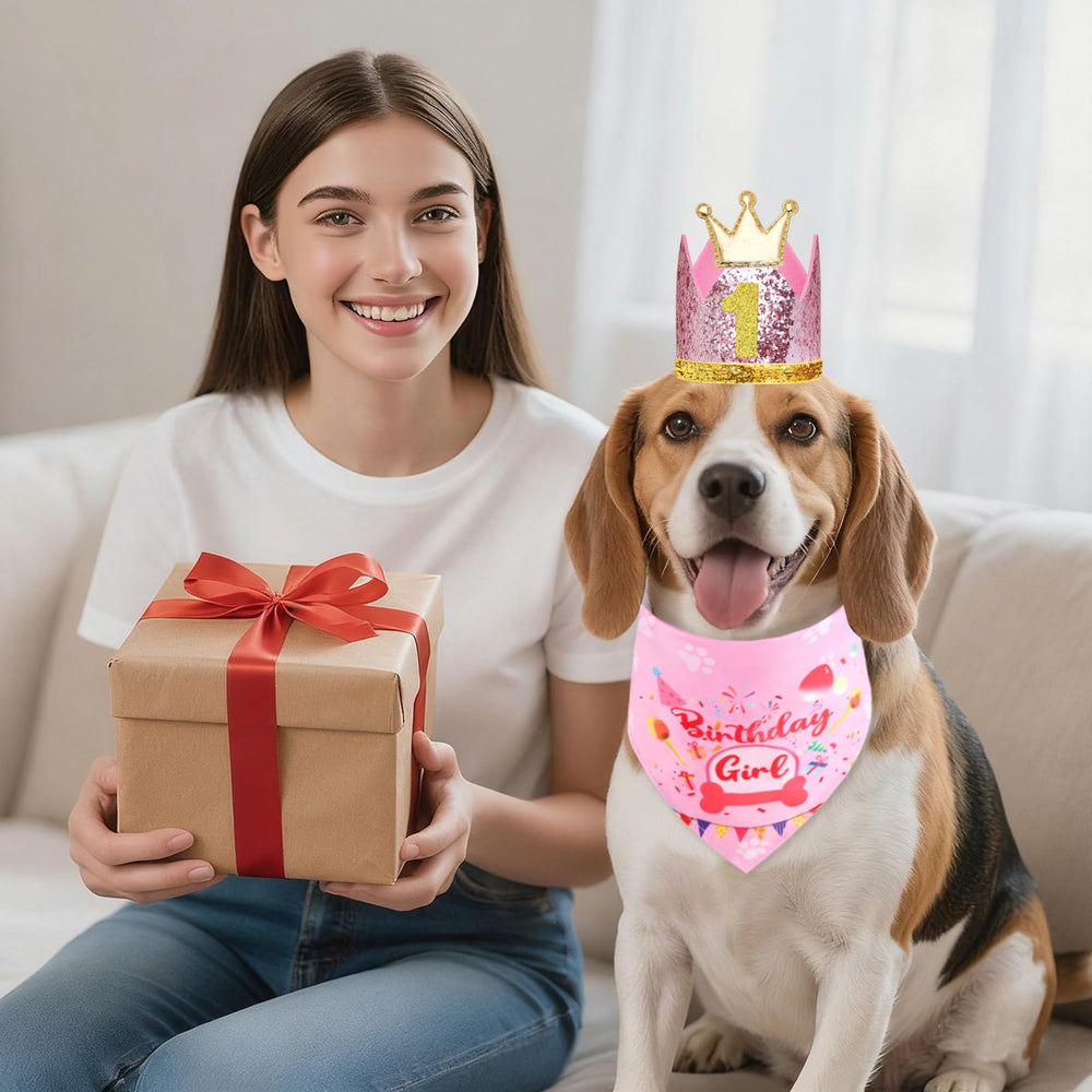 Rensh dog party photo setup features accessories for festive portraits.