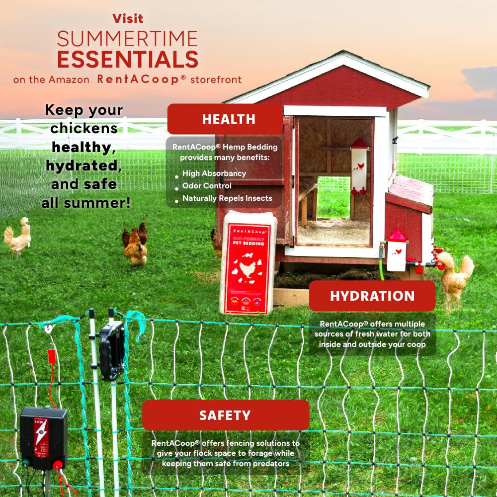 Rentacoop coop nesting-box-use shows versatile bedding across cages and nesting areas.